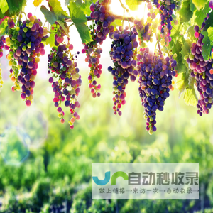 夏泽水梦